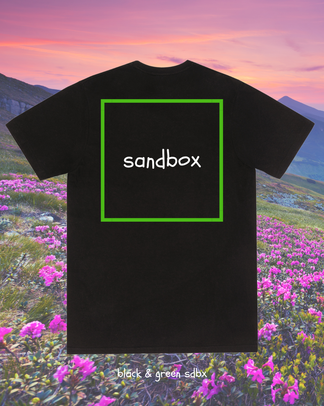 black & green SDBX